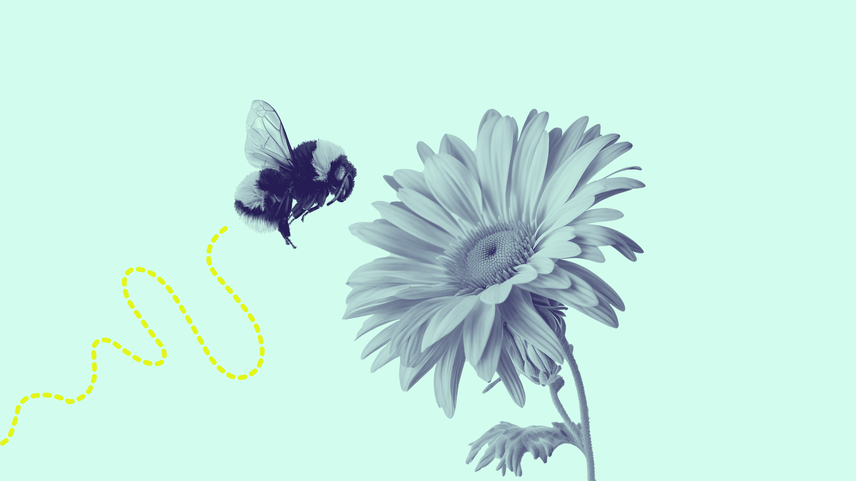llustration einer fliegenden Hummel mit gestrichelter gelber Flugbahn, die sich einer großen Blume mit detaillierten Blütenblättern nähert.